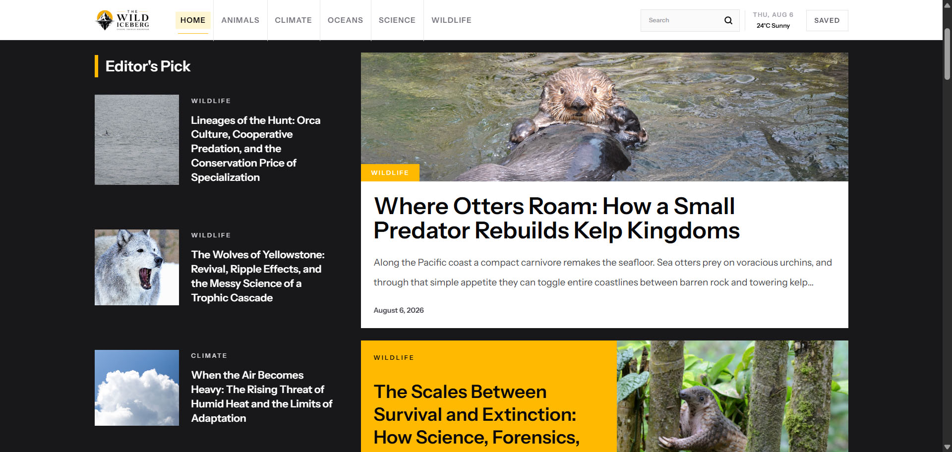 TheWild IceBurg: Nature Journal/Blog